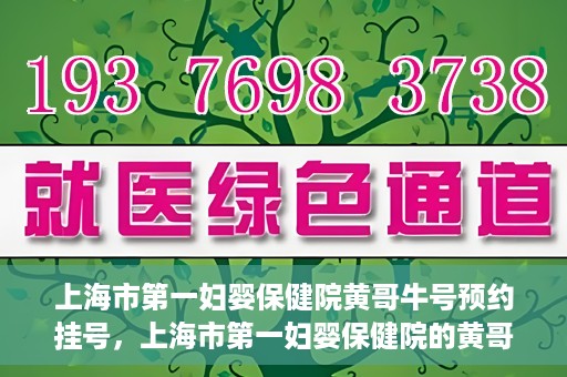 上海市第一妇婴保健院黄哥牛号预约挂号，上海市第一妇婴保健院的黄哥牛号预约挂号攻略