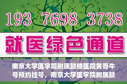 南京大学医学院附属鼓楼医院黄哥牛号预约挂号，南京大学医学院附属鼓楼医院黄哥牛号预约挂号攻略解析