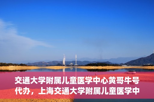 交通大学附属儿童医学中心黄哥牛号代办，上海交通大学附属儿童医学中心黄哥牛号预约挂号须知
