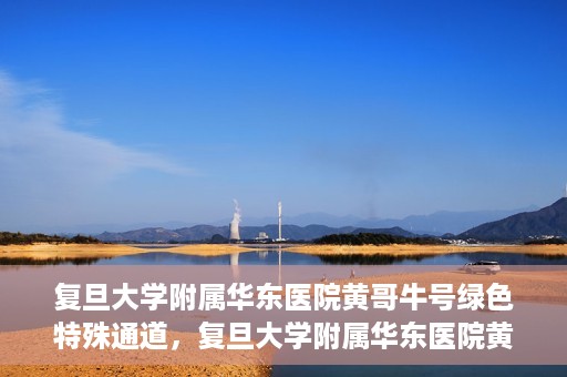 复旦大学附属华东医院黄哥牛号绿色特殊通道，复旦大学附属华东医院黄哥牛号，绿色特殊通道开启健康之门