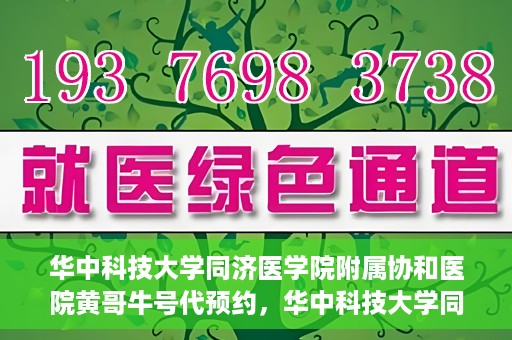 华中科技大学同济医学院附属协和医院黄哥牛号代预约，华中科技大学同济医学院附属协和医院预约服务揭秘，黄哥牛号代预约解析