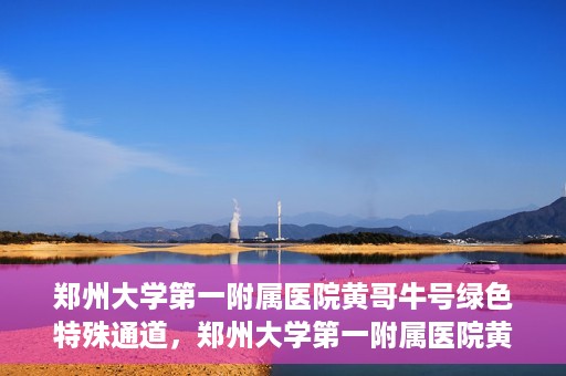郑州大学第一附属医院黄哥牛号绿色特殊通道，郑州大学第一附属医院黄哥牛号，绿色特殊通道开启生命之门