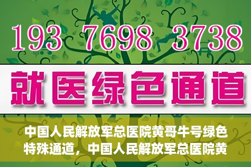中国人民解放军总医院黄哥牛号绿色特殊通道，中国人民解放军总医院黄哥牛号，绿色特殊通道开启健康之门