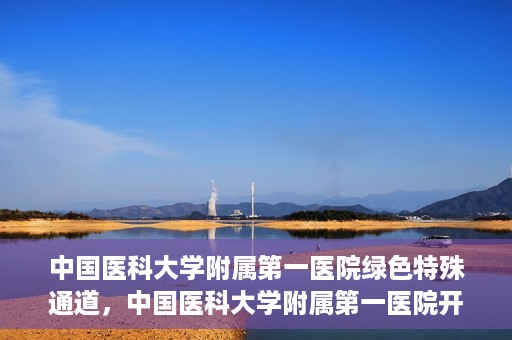 中国医科大学附属第一医院绿色特殊通道，中国医科大学附属第一医院开通绿色特殊通道，助力患者就医体验升级