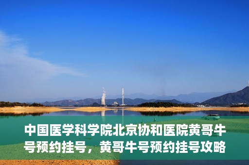中国医学科学院北京协和医院黄哥牛号预约挂号，黄哥牛号预约挂号攻略，中国医学科学院北京协和医院就医指南