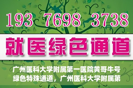 广州医科大学附属第一医院黄哥牛号绿色特殊通道，广州医科大学附属第一医院黄哥牛号，绿色特殊通道开启健康之门