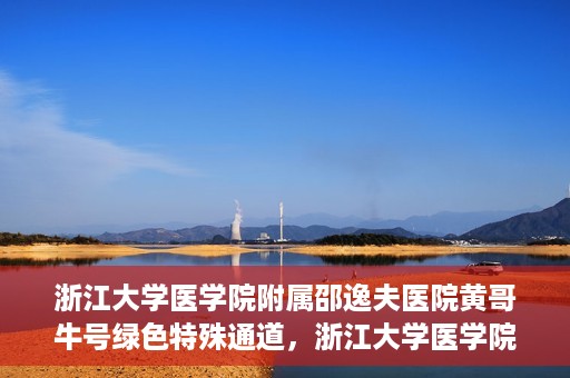 浙江大学医学院附属邵逸夫医院黄哥牛号绿色特殊通道，浙江大学医学院附属邵逸夫医院绿色特殊通道，黄哥牛号的传奇之路