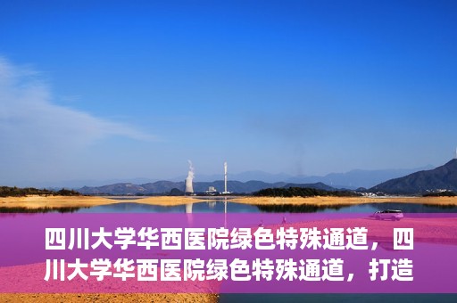 四川大学华西医院绿色特殊通道，四川大学华西医院绿色特殊通道，打造医疗服务的绿色通道新篇章