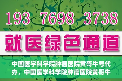 中国医学科学院肿瘤医院黄哥牛号代办，中国医学科学院肿瘤医院黄哥牛号挂号代办服务解析