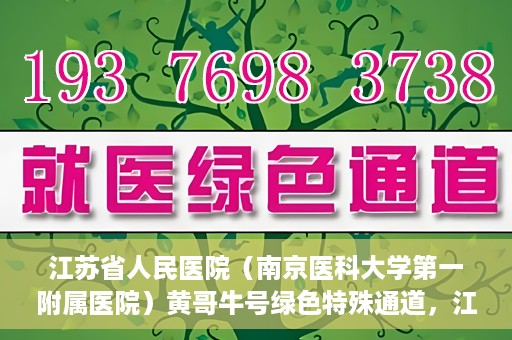 江苏省人民医院（南京医科大学第一附属医院）黄哥牛号绿色特殊通道，江苏省人民医院绿色特殊通道，黄哥牛号的医疗速度与温情服务