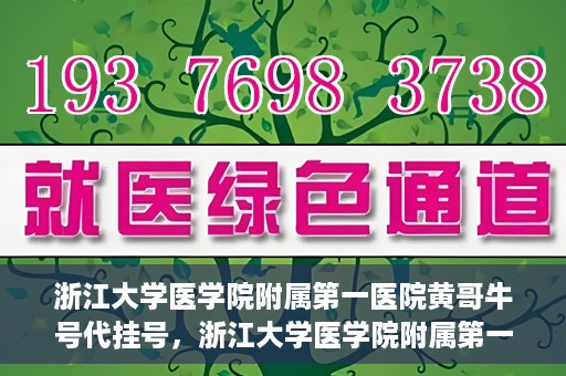浙江大学医学院附属第一医院黄哥牛号代挂号，浙江大学医学院附属第一医院黄哥牛号代挂号服务解析