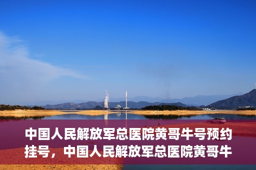 中国人民解放军总医院黄哥牛号预约挂号，中国人民解放军总医院黄哥牛号预约挂号攻略解析