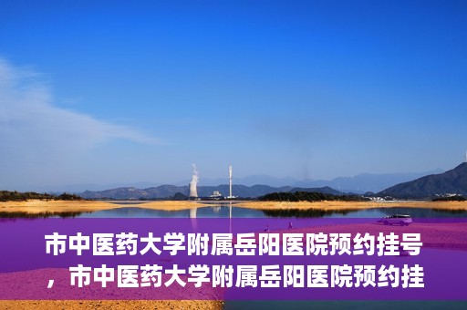 市中医药大学附属岳阳医院预约挂号，市中医药大学附属岳阳医院预约挂号攻略，便捷就医从这里开始