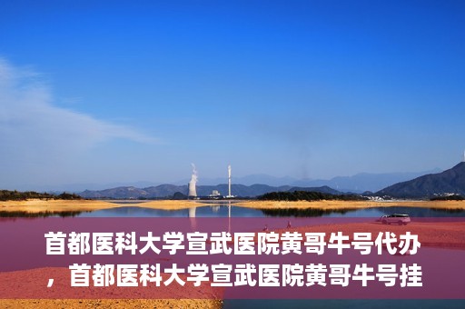 首都医科大学宣武医院黄哥牛号代办，首都医科大学宣武医院黄哥牛号挂号代办攻略