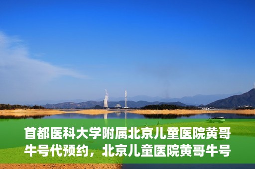 首都医科大学附属北京儿童医院黄哥牛号代预约，北京儿童医院黄哥牛号预约服务，专业便捷的健康守护使者
