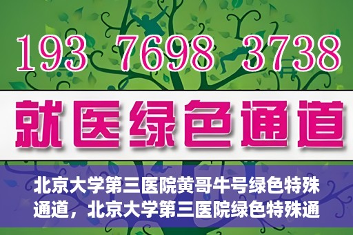 北京大学第三医院黄哥牛号绿色特殊通道，北京大学第三医院绿色特殊通道，黄哥牛号的探索与实践