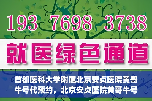 首都医科大学附属北京安贞医院黄哥牛号代预约，北京安贞医院黄哥牛号预约服务解析