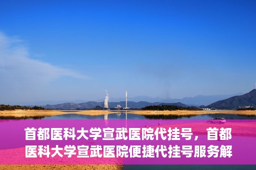 首都医科大学宣武医院代挂号，首都医科大学宣武医院便捷代挂号服务解析