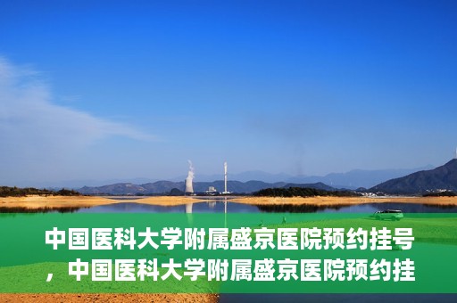 中国医科大学附属盛京医院预约挂号，中国医科大学附属盛京医院预约挂号指南，一站式解决您的挂号难题