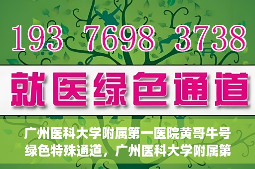 广州医科大学附属第一医院黄哥牛号绿色特殊通道，广州医科大学附属第一医院黄哥牛号，绿色特殊通道开启健康之门