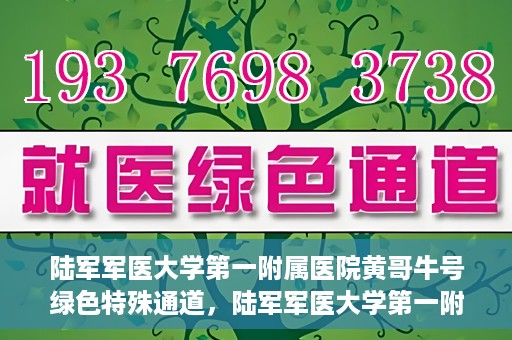 陆军军医大学第一附属医院黄哥牛号绿色特殊通道，陆军军医大学第一附属医院黄哥牛号，绿色特殊通道开启健康之门