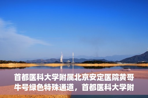 首都医科大学附属北京安定医院黄哥牛号绿色特殊通道，首都医科大学附属北京安定医院黄哥牛号绿色特殊通道，探索与实践