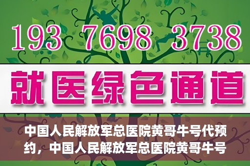中国人民解放军总医院黄哥牛号代预约，中国人民解放军总医院黄哥牛号预约服务解析