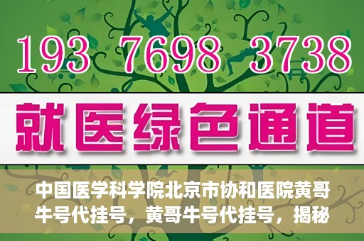 中国医学科学院北京市协和医院黄哥牛号代挂号，黄哥牛号代挂号，揭秘中国医学科学院北京市协和医院挂号背后的故事