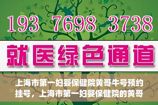 上海市第一妇婴保健院黄哥牛号预约挂号，上海市第一妇婴保健院的黄哥牛号预约挂号指南