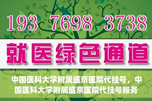 中国医科大学附属盛京医院代挂号，中国医科大学附属盛京医院代挂号服务详解