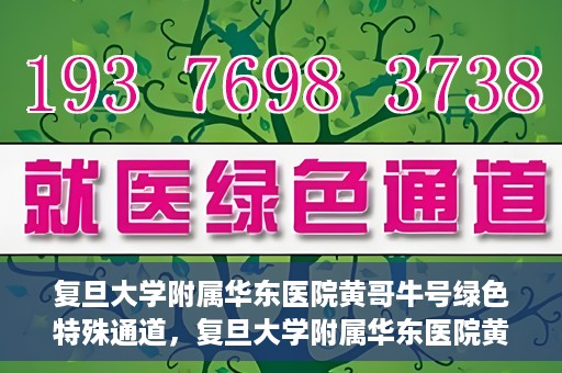 复旦大学附属华东医院黄哥牛号绿色特殊通道，复旦大学附属华东医院黄哥牛号，绿色特殊通道开启健康之门
