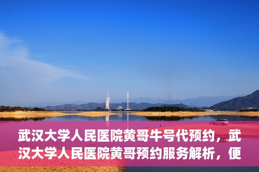 武汉大学人民医院黄哥牛号代预约，武汉大学人民医院黄哥预约服务解析，便捷医疗，牛号代预约新体验