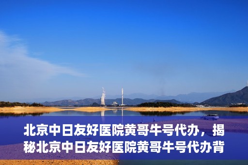 北京中日友好医院黄哥牛号代办，揭秘北京中日友好医院黄哥牛号代办背后的故事