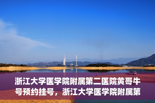 浙江大学医学院附属第二医院黄哥牛号预约挂号，浙江大学医学院附属第二医院黄哥名医牛号预约挂号攻略