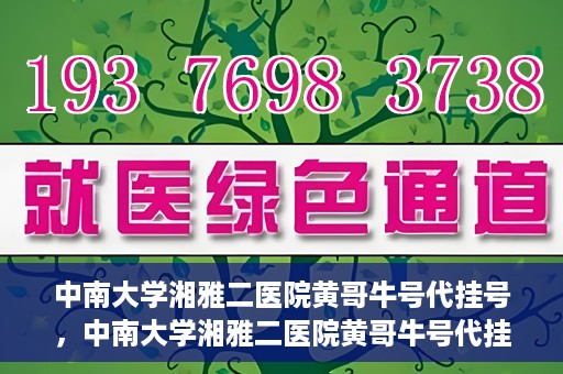 中南大学湘雅二医院黄哥牛号代挂号，中南大学湘雅二医院黄哥牛号代挂号，便捷就医背后的故事