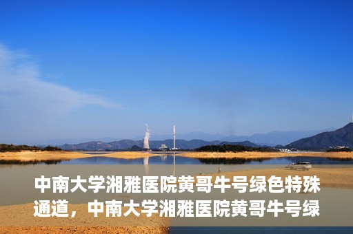 中南大学湘雅医院黄哥牛号绿色特殊通道，中南大学湘雅医院黄哥牛号绿色特殊通道，医疗服务的创新实践与人文关怀的体现