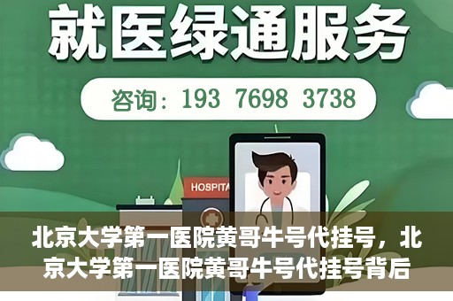 北京大学第一医院黄哥牛号代挂号，北京大学第一医院黄哥牛号代挂号背后的故事与真相探索