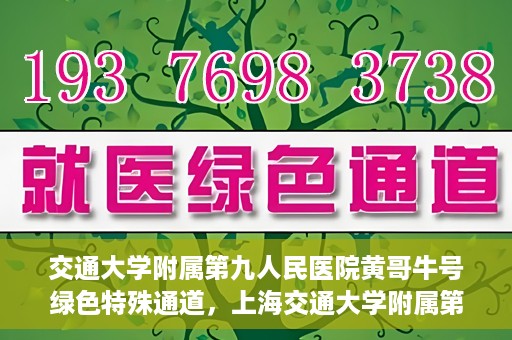 交通大学附属第九人民医院黄哥牛号绿色特殊通道，上海交通大学附属第九人民医院黄哥牛号，绿色特殊通道开启健康之门