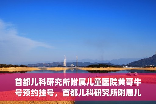 首都儿科研究所附属儿童医院黄哥牛号预约挂号，首都儿科研究所附属儿童医院黄哥牛号预约挂号攻略