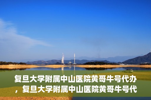 复旦大学附属中山医院黄哥牛号代办，复旦大学附属中山医院黄哥牛号代办，权威医疗资源的深度解读与便捷服务体验