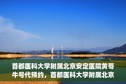 首都医科大学附属北京安定医院黄哥牛号代预约，首都医科大学附属北京安定医院黄哥牛号预约服务解析