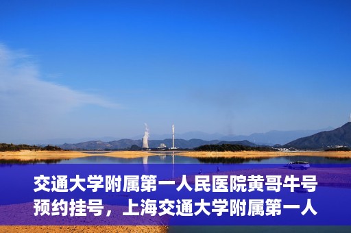 交通大学附属第一人民医院黄哥牛号预约挂号，上海交通大学附属第一人民医院黄哥名医挂号预约攻略