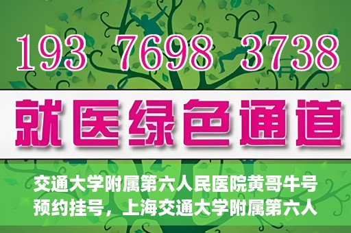 交通大学附属第六人民医院黄哥牛号预约挂号，上海交通大学附属第六人民医院黄哥牛号预约挂号攻略