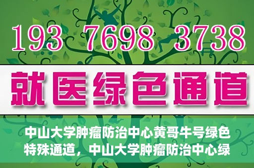 中山大学肿瘤防治中心黄哥牛号绿色特殊通道，中山大学肿瘤防治中心绿色特殊通道——黄哥牛号的守护力量