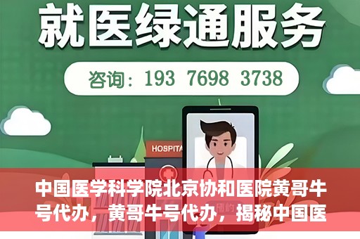 中国医学科学院北京协和医院黄哥牛号代办，黄哥牛号代办，揭秘中国医学科学院北京协和医院背后的故事