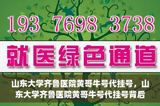 山东大学齐鲁医院黄哥牛号代挂号，山东大学齐鲁医院黄哥牛号代挂号背后的故事与探索